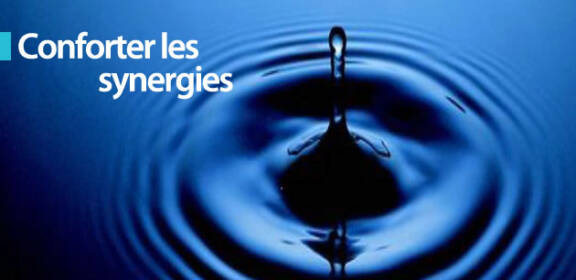 Rapport d'activité 2014 : Conforter les synergies