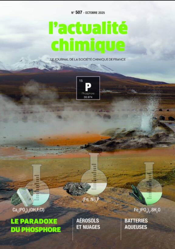 Vue dans l'Actualité Chimie N°507 - Octobre 2025